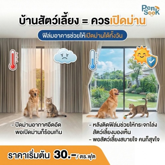ติดฟิล์มกันแดดในบ้านปกกันสัตว์เลี้ยง